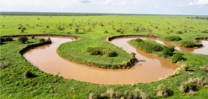 Millions of white-eared kob antelopes migrating across the savannas and wetlands of Boma Badingilo South Sudan